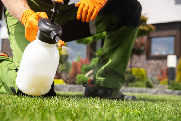 Best Wasp Removal Services  in Ithaca, NY