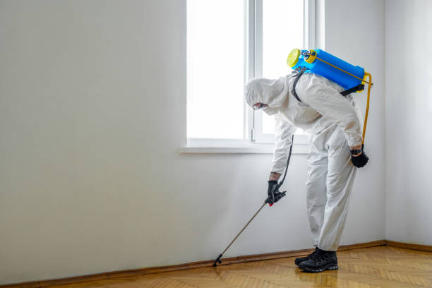 Best Residential Pest Control  in Ithaca, NY