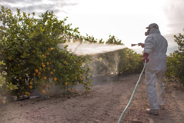 Best Best Pest Control Near Me  in Ithaca, NY