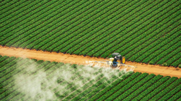 Best Commercial Pest Control Services  in Ithaca, NY