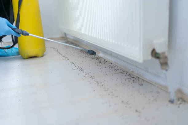 Best Cockroach Control Services  in Ithaca, NY